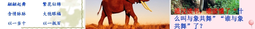 五年级语文下册 第八组 27《与象共舞》课堂教学课件1 新人教版-新人教版小学五年级下册语文课件