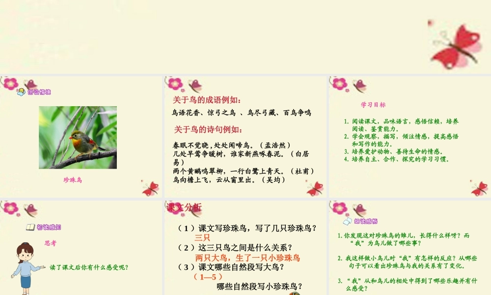 五年级语文下册 第2单元 7《珍珠鸟》课件1 语文S版-语文S版小学五年级下册语文课件