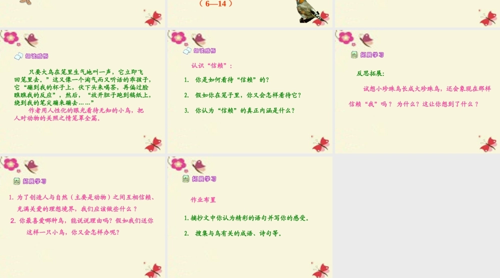 五年级语文下册 第2单元 7《珍珠鸟》课件1 语文S版-语文S版小学五年级下册语文课件