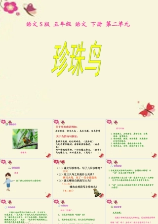五年级语文下册 第2单元 7《珍珠鸟》课件1 语文S版-语文S版小学五年级下册语文课件
