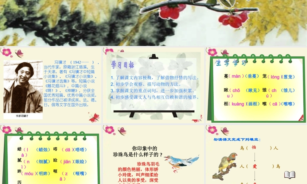 五年级语文下册 第2单元 7《珍珠鸟》课件2 语文S版-语文S版小学五年级下册语文课件