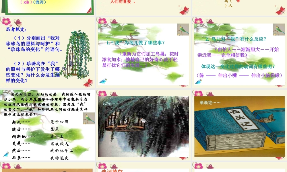 五年级语文下册 第2单元 7《珍珠鸟》课件2 语文S版-语文S版小学五年级下册语文课件