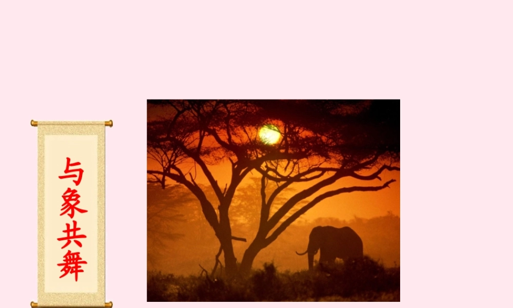五年级语文下册 第八组 27《与象共舞》课堂教学课件2 新人教版-新人教版小学五年级下册语文课件