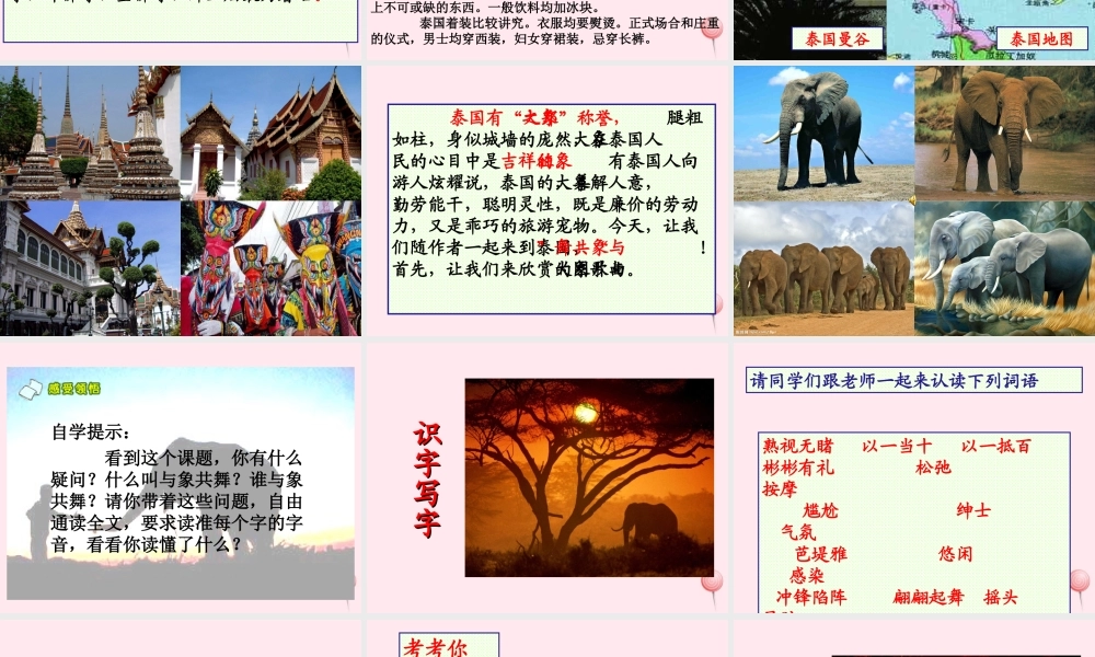 五年级语文下册 第八组 27《与象共舞》课堂教学课件2 新人教版-新人教版小学五年级下册语文课件