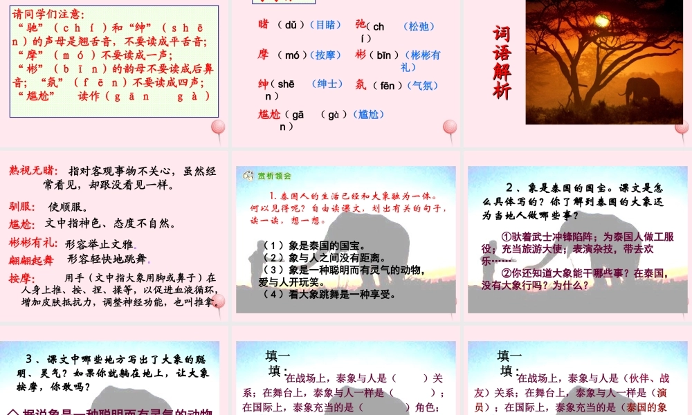 五年级语文下册 第八组 27《与象共舞》课堂教学课件2 新人教版-新人教版小学五年级下册语文课件