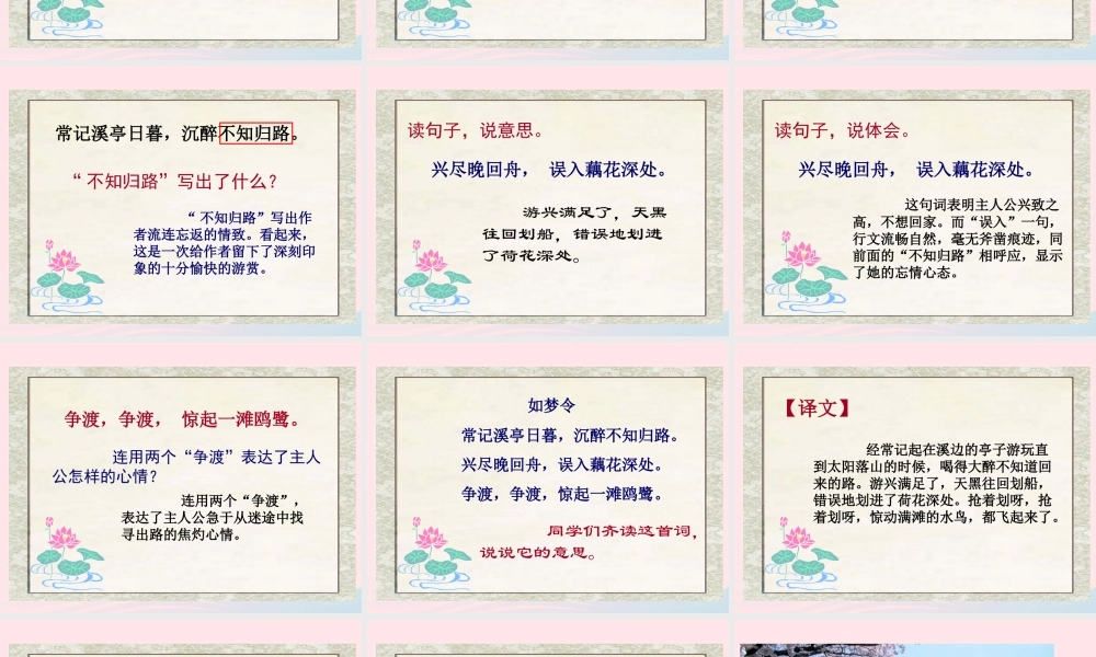 五年级语文上册 第六单元 26《词二首》如梦令同步优质课件 冀教版-冀教版小学五年级上册语文课件