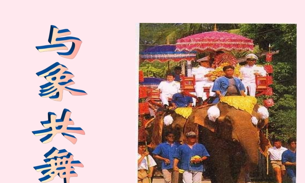 五年级语文下册 第八组 27《与象共舞》课堂教学课件3 新人教版-新人教版小学五年级下册语文课件