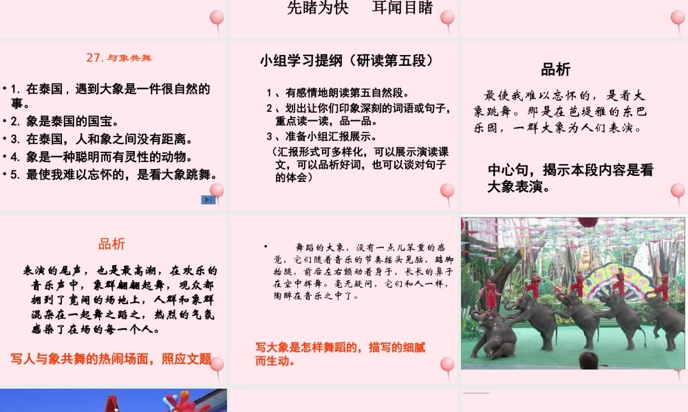 五年级语文下册 第八组 27《与象共舞》课堂教学课件3 新人教版-新人教版小学五年级下册语文课件