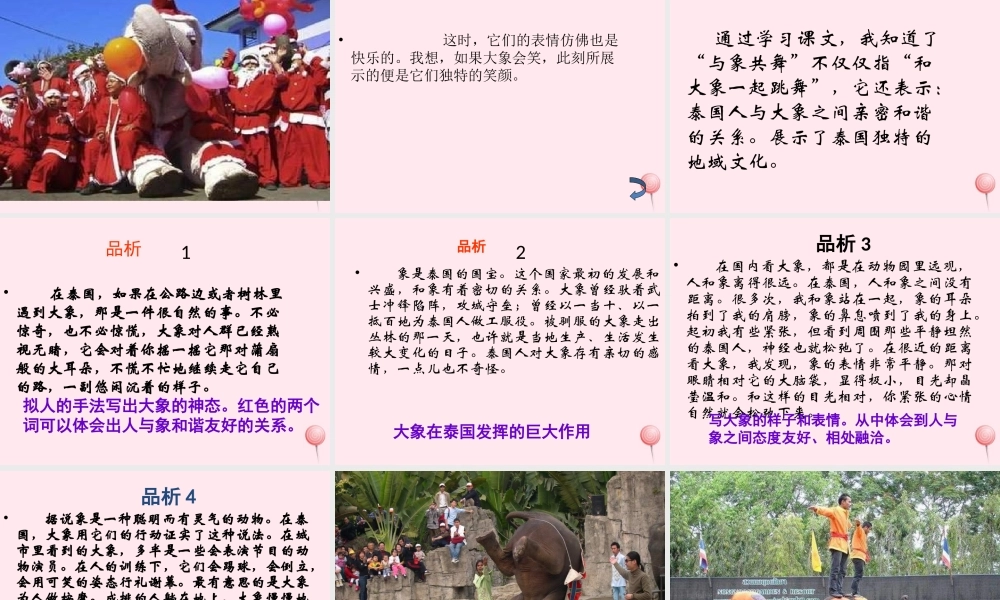 五年级语文下册 第八组 27《与象共舞》课堂教学课件3 新人教版-新人教版小学五年级下册语文课件