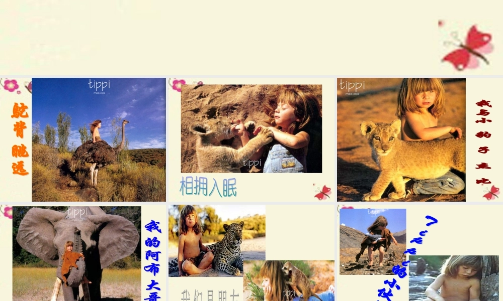 五年级语文下册 第2单元 7《珍珠鸟》课件4 语文S版-语文S版小学五年级下册语文课件