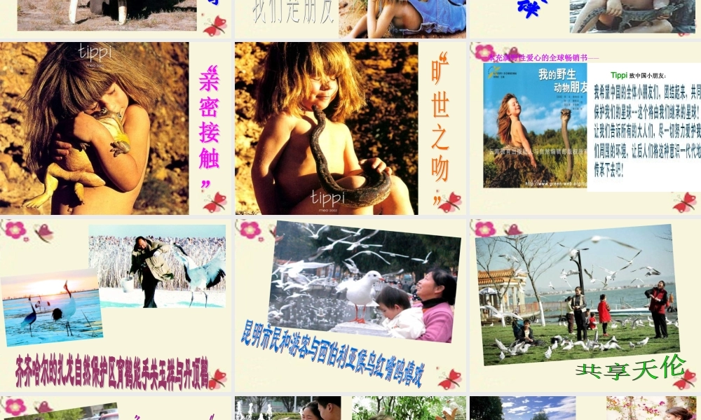 五年级语文下册 第2单元 7《珍珠鸟》课件4 语文S版-语文S版小学五年级下册语文课件