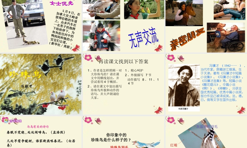 五年级语文下册 第2单元 7《珍珠鸟》课件4 语文S版-语文S版小学五年级下册语文课件