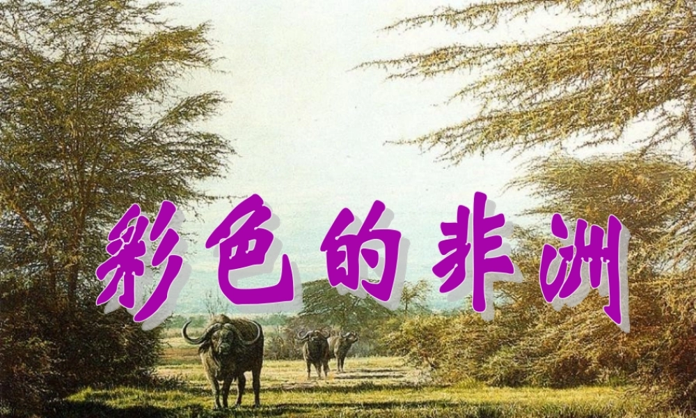 五年级语文下册 第八组 28 彩色的非洲教学课件1 新人教版-新人教版小学五年级下册语文课件