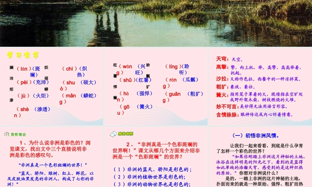 五年级语文下册 第八组 28 彩色的非洲教学课件1 新人教版-新人教版小学五年级下册语文课件