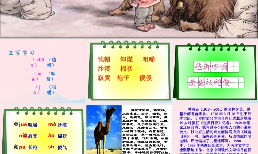 五年级语文下册 第二组 6  骆驼队教学课件1 新人教版-新人教级下册语文课件