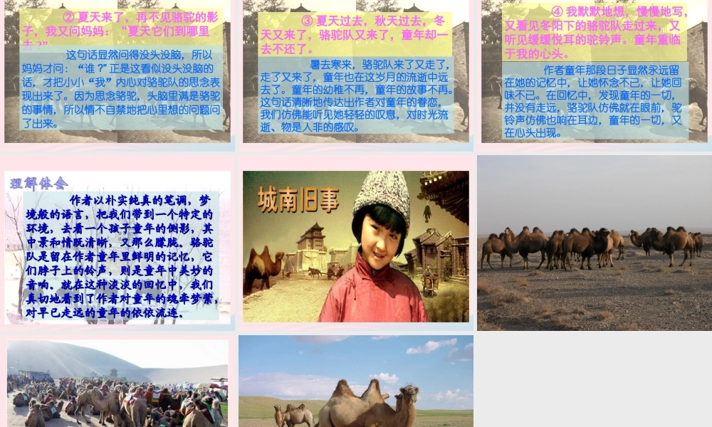 五年级语文下册 第二组 6  骆驼队教学课件1 新人教版-新人教级下册语文课件