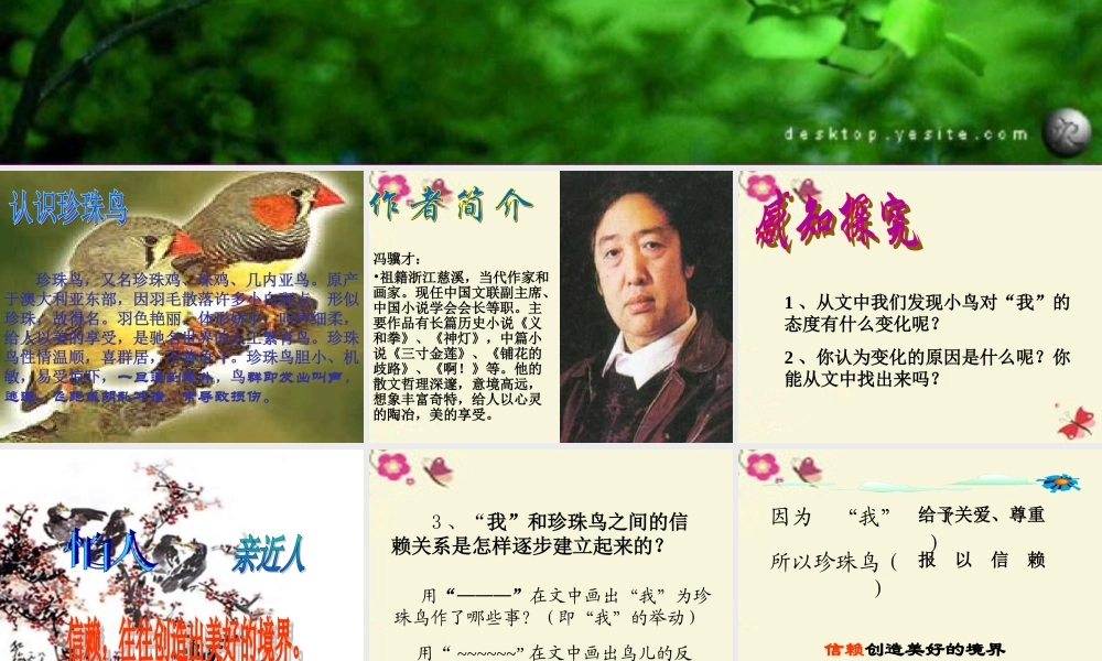 五年级语文下册 第2单元 7《珍珠鸟》课件5 语文S版-语文S版小学五年级下册语文课件