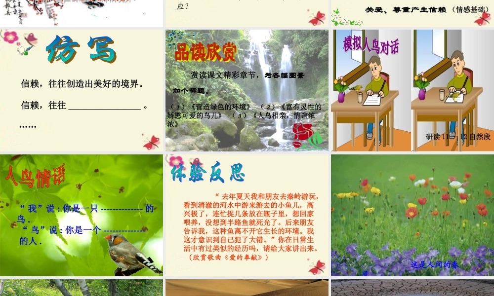 五年级语文下册 第2单元 7《珍珠鸟》课件5 语文S版-语文S版小学五年级下册语文课件