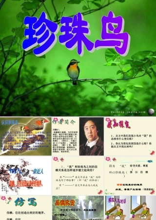 五年级语文下册 第2单元 7《珍珠鸟》课件5 语文S版-语文S版小学五年级下册语文课件