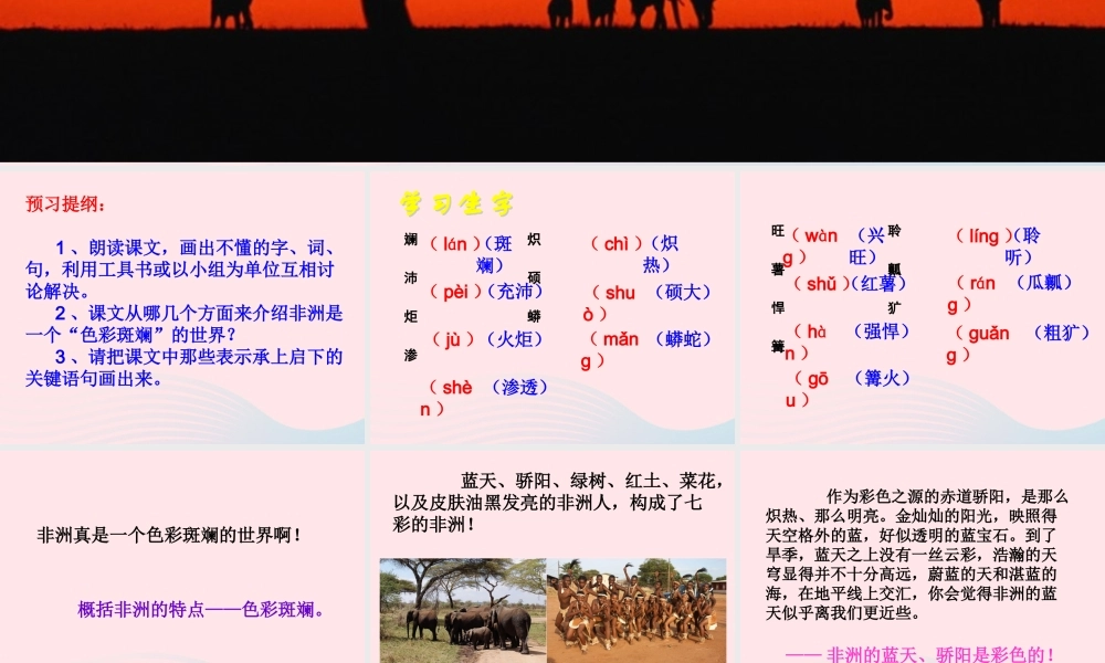 五年级语文下册 第八组 28 彩色的非洲教学课件2 新人教版-新人教版小学五年级下册语文课件