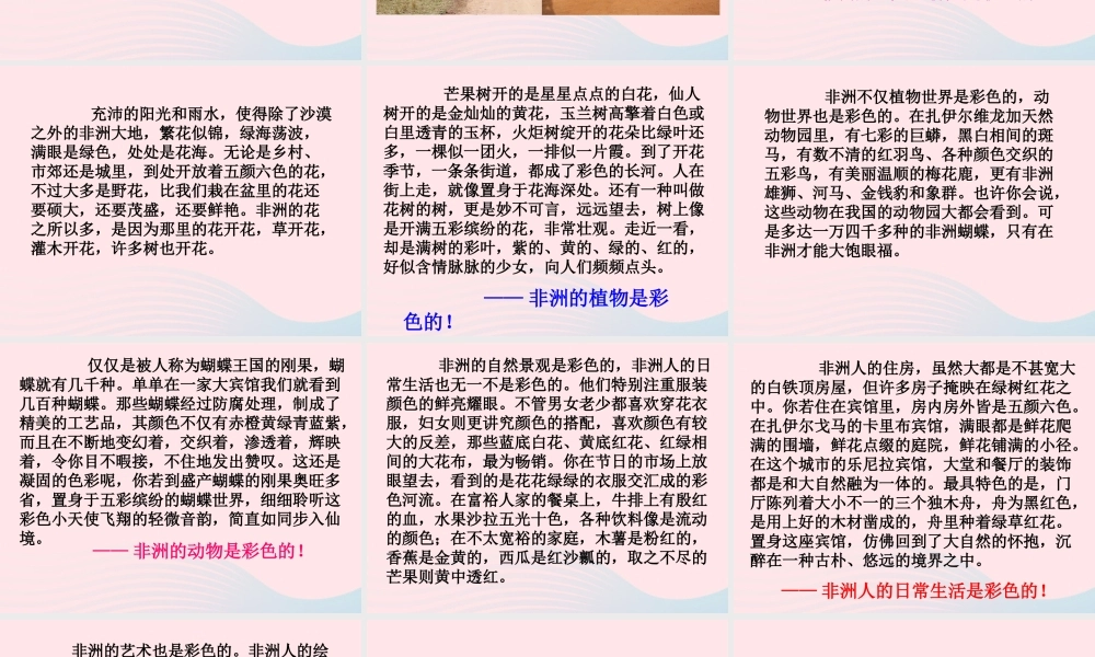 五年级语文下册 第八组 28 彩色的非洲教学课件2 新人教版-新人教版小学五年级下册语文课件