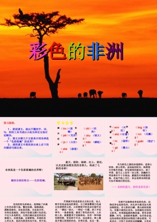 五年级语文下册 第八组 28 彩色的非洲教学课件2 新人教版-新人教版小学五年级下册语文课件