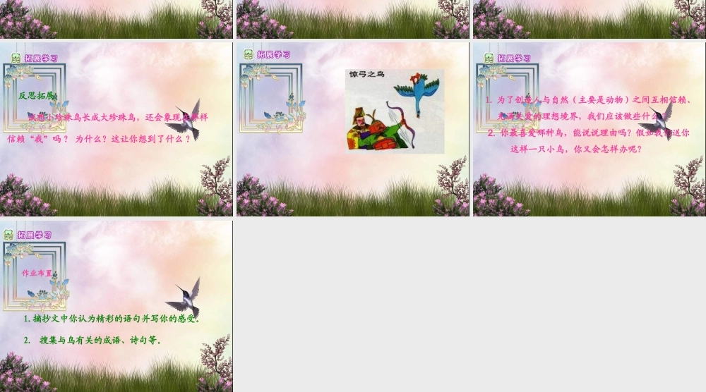 五年级语文下册 第2单元 7《珍珠鸟》课件6 语文S版-语文S版小学五年级下册语文课件