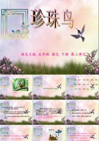 五年级语文下册 第2单元 7《珍珠鸟》课件6 语文S版-语文S版小学五年级下册语文课件
