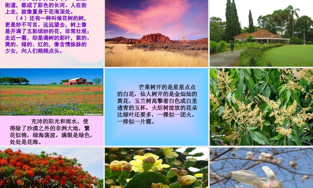 五年级语文下册 第八组 28 彩色的非洲课件 新人教版-新人教版小学五年级下册语文课件