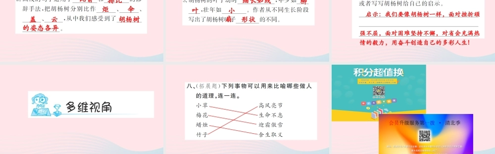 五年级语文上册 第四组 15 落花生（第2课时）习题课件 新人教版-新人教版小学五年级上册语文课件