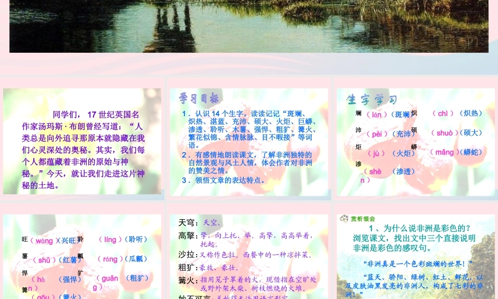 五年级语文下册 第八组 28 彩色的非洲课件1 新人教版-新人教版小学五年级下册语文课件