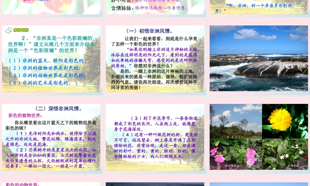五年级语文下册 第八组 28 彩色的非洲课件1 新人教版-新人教版小学五年级下册语文课件