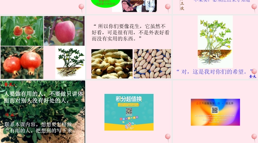 五年级语文上册 第四组 15 落花生课件 新人教版-新人教版小学五年级上册语文课件