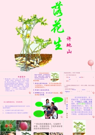 五年级语文上册 第四组 15 落花生课件 新人教版-新人教版小学五年级上册语文课件
