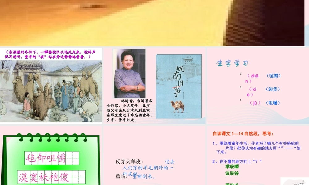 五年级语文下册 第二组 6  骆驼队课件 新人教版-新人教级下册语文课件