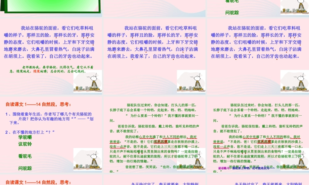 五年级语文下册 第二组 6  骆驼队课件 新人教版-新人教级下册语文课件