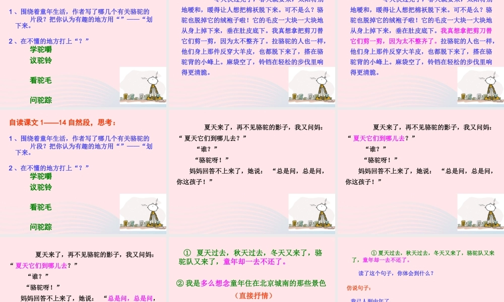 五年级语文下册 第二组 6  骆驼队课件 新人教版-新人教级下册语文课件
