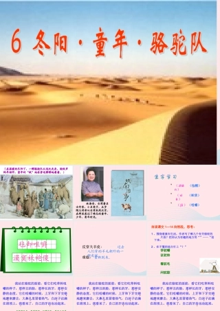 五年级语文下册 第二组 6  骆驼队课件 新人教版-新人教级下册语文课件