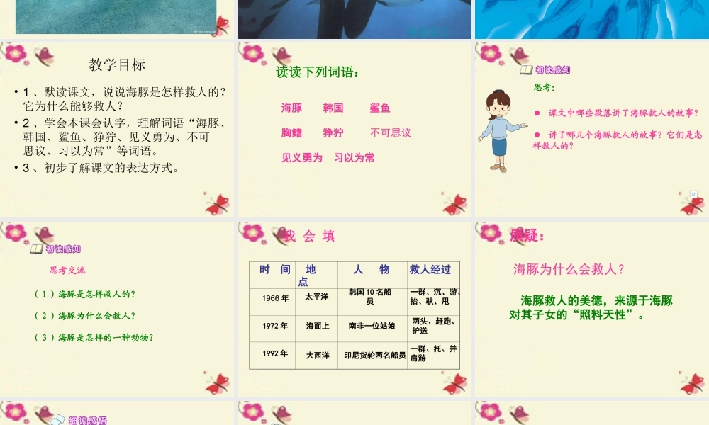 五年级语文下册 第2单元 8《海豚救人》课件1 语文S版-语文S版小学五年级下册语文课件