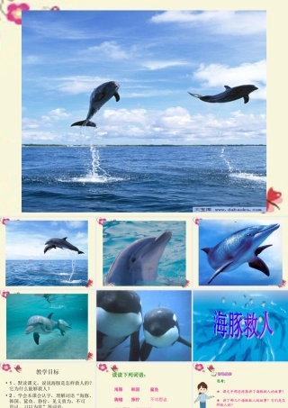 五年级语文下册 第2单元 8《海豚救人》课件1 语文S版-语文S版小学五年级下册语文课件