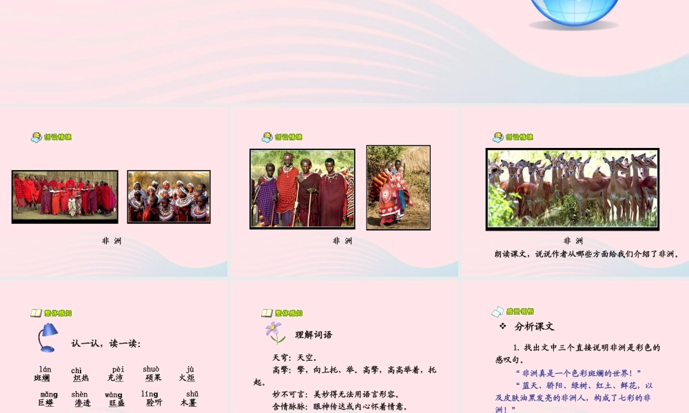 五年级语文下册 第八组 28 彩色的非洲课件2 新人教版-新人教版小学五年级下册语文课件