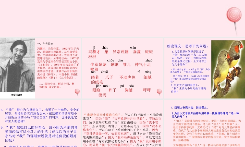 五年级语文上册 第四组 16 珍珠鸟课件 新人教版-新人教版小学五年级上册语文课件