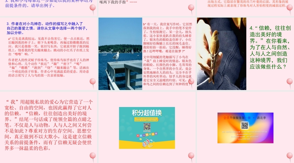 五年级语文上册 第四组 16 珍珠鸟课件 新人教版-新人教版小学五年级上册语文课件