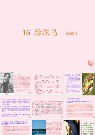 五年级语文上册 第四组 16 珍珠鸟课件 新人教版-新人教版小学五年级上册语文课件
