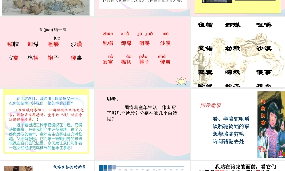 五年级语文下册 第二组 6  骆驼队课件1 新人教版-新人教级下册语文课件