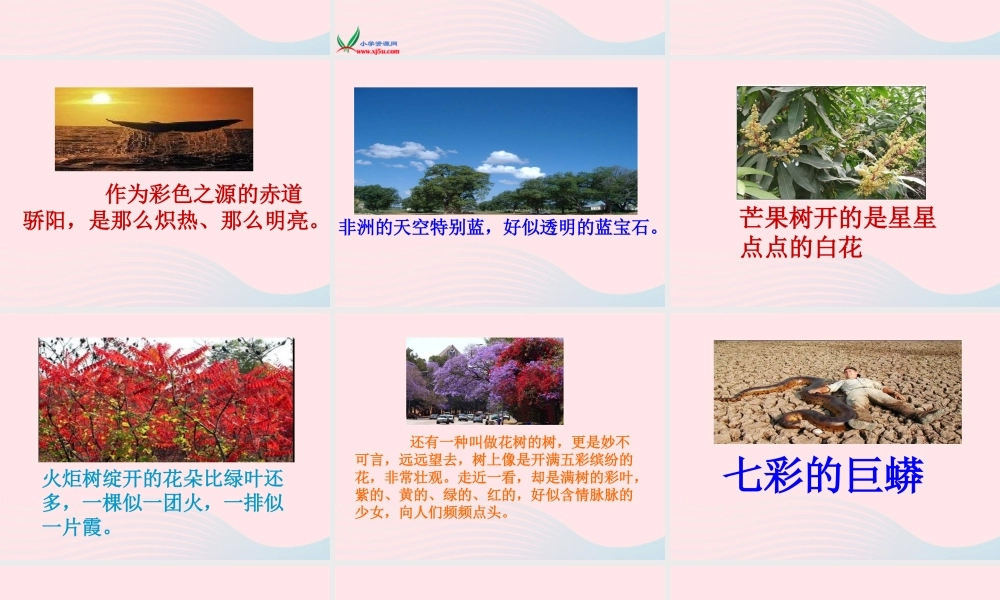 五年级语文下册 第八组 28 彩色的非洲课件3 新人教版-新人教版小学五年级下册语文课件