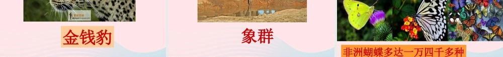 五年级语文下册 第八组 28 彩色的非洲课件3 新人教版-新人教版小学五年级下册语文课件