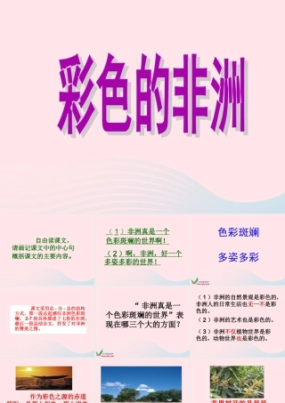 五年级语文下册 第八组 28 彩色的非洲课件3 新人教版-新人教版小学五年级下册语文课件