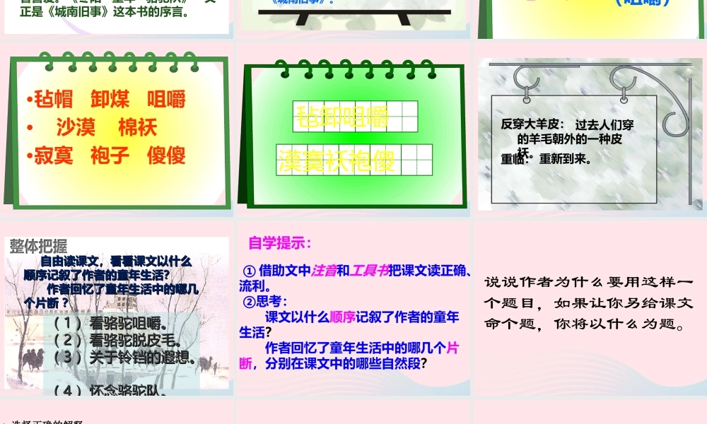 五年级语文下册 第二组 6  骆驼队课件2 新人教版-新人教级下册语文课件