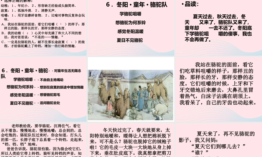 五年级语文下册 第二组 6  骆驼队课件2 新人教版-新人教级下册语文课件